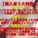 3大特典付き【電車痴漢】★2周年カウントダウンセール！★超お嬢様校の奇跡の薄ピンク美乳首JKが駅のトイレで連続絶頂★30％オフ！