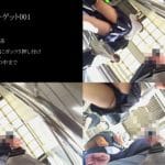 真・玄人痴漢 ﾌｧｲﾙ001（Ａ級）
