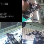 真・玄人痴漢 ファイル007(A級)