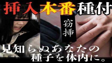【完全期間限定/OL】認知不可の大惨事。窃挿種付け逆流精子を指封印フィニッシュ。