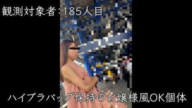 [乗車記録185]ハイブラバッグ保持のお嬢様風OK個体